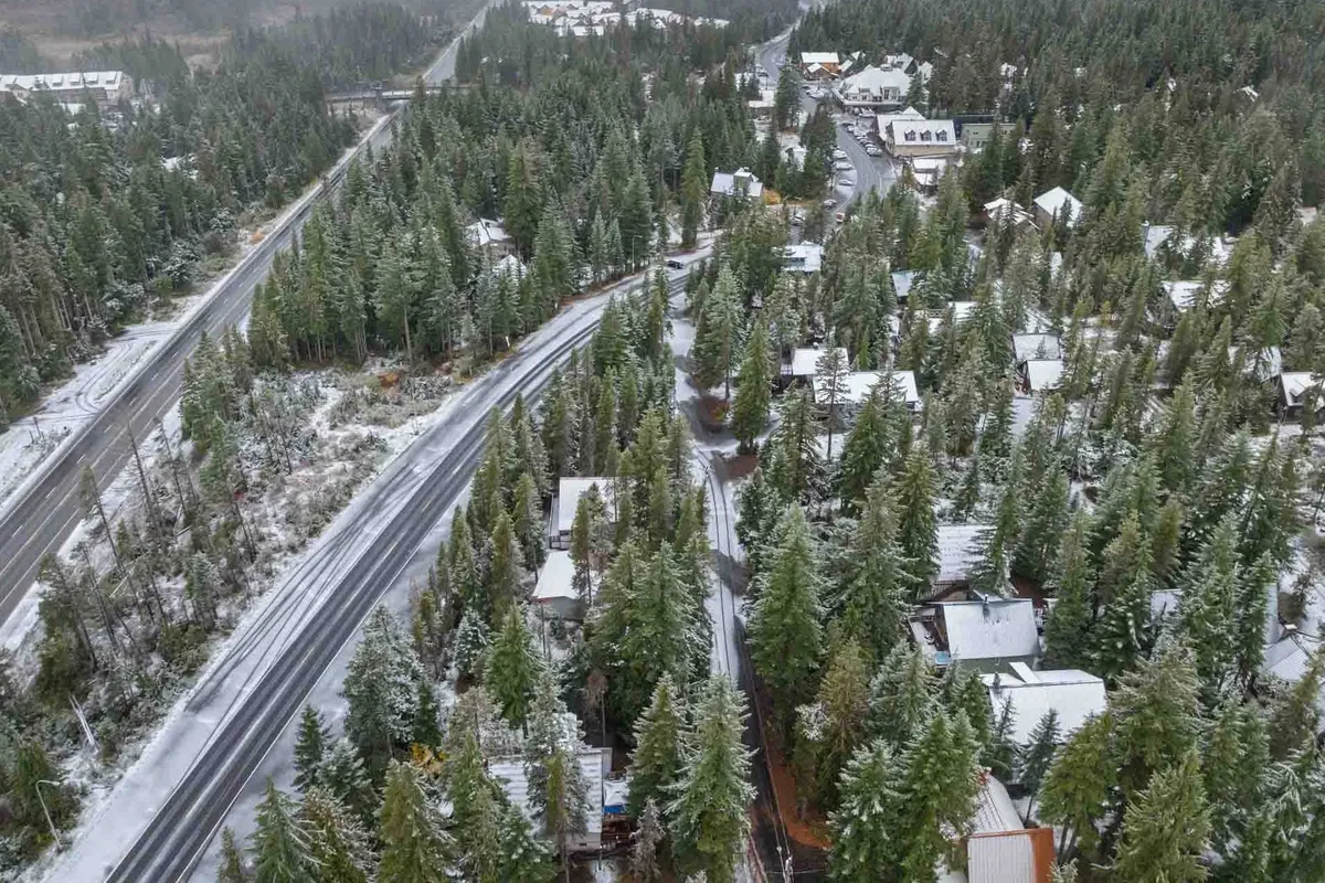 A snow-dusted neighborhood nestled among towering evergreen trees, with winding roads and scattered houses. The tranquil outdoor setting captures the inviting mountain environment and hints at recreational opportunities like hiking and nature walks.